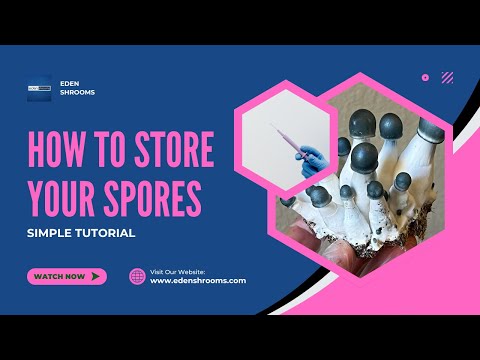 How To Store A Mushroom Spore Syringe