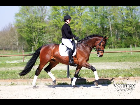 Wallach von Danzador