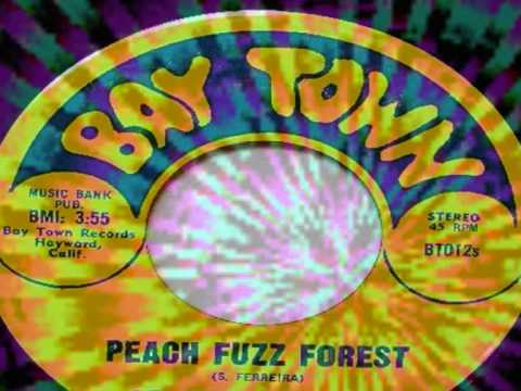 Crystal Garden-Peach Fuzz Forest