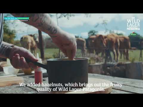 Heineken Wild Lager Patagonia