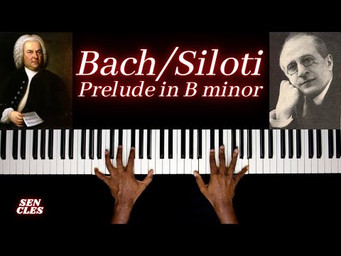 Bach / Siloti - Prelude in B minor | Sen Cles