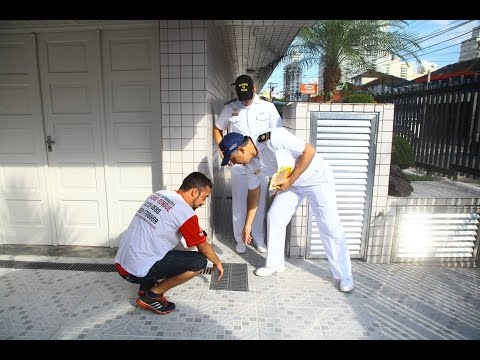 Mutirão contra a dengue