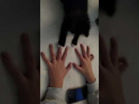 Jacqueline's Mittens!