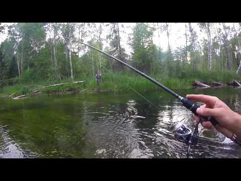 Forellipüük juuni 2018