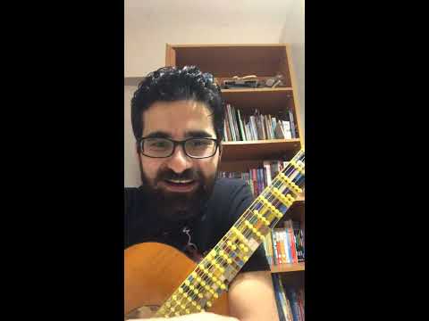 King Gizzard on Microtonal Guitar