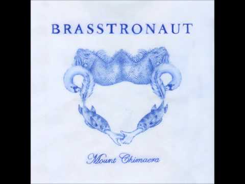 Brasstronaut - Insects