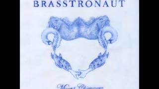 Brasstronaut - Insects