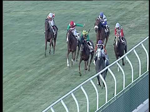 Galoppo 25/06/2019 - 5ª corsa