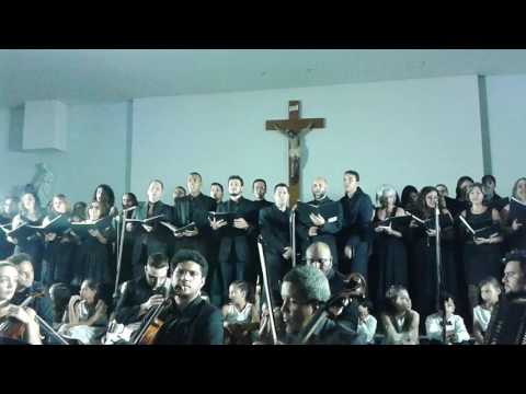 his eye is on the sparrow - Coral Esperança & Vitória