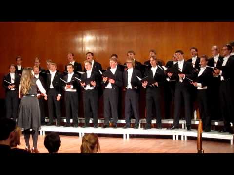 NSSS 2011 - Fridolins dårskap