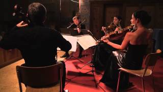 preview picture of video 'Quatuor Terpsycordes, Beethoven op. 18 n. 6: III. Scherzo. Allegro'