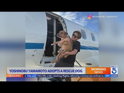 World Series MVP Yamamoto adopts shelter pup named Carlos