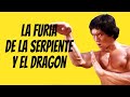 Wu Tang Collection - La Furia De La Serpiente Y El Dragón (Dragon's Snake Fist- English subtitles)
