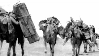 preview picture of video 'Video Preview Camels in the Aussie outback'