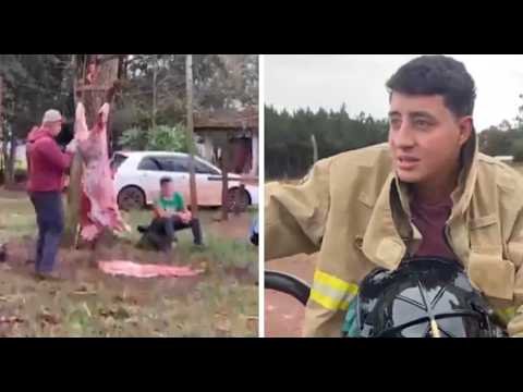Temor por misteriosos ataques a animales en Tomás Romero Pereira