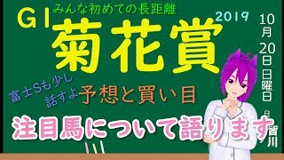 【競馬予想】菊花賞2019 予想と買い目 初めての距離での闘い！注目馬について語ります！
