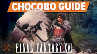 Final Fantasy 16: How To Get A Chocobo