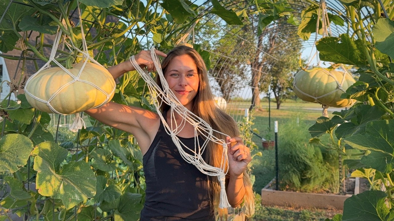 Step By Step How To Make A Macrame Pumpkin/Melon Cradle For Vertical Gardening - Beginner Friendly!