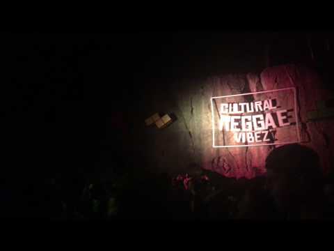 Cultural Reggae Vibez 2017 / Macka B - Roots ragga