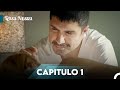 Rosa Negra Capítulo 1 Doblado En Español