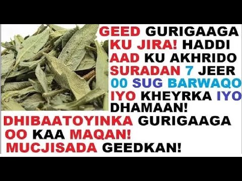 Geed gurigaga kugu jira, ku akhri suuraddan 7 jeer oo sug barwaaqada iyo kheyrka iyo dhammaan dhibaT