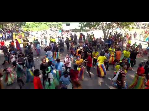 Emu memory | Murphy Buana 