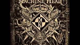 Machine Head - Imaginal Cells