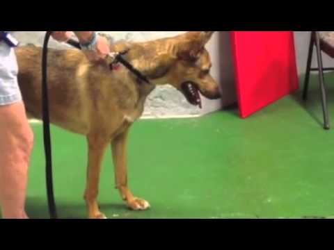 Leo with Mary Pat Jones