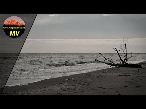 Delta del Po: la spiaggia di Boccasette di Porto Tolle