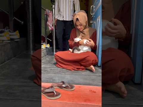 Cats choose us we don’t own them 🫀🐈♥️ #bonding #animals #cat #catlover #pets #love #couplegoals