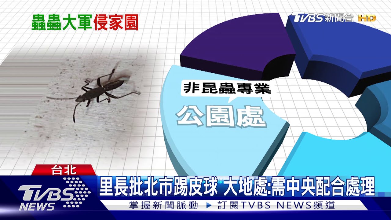 30年首見!內湖現「蟲蟲大軍」 住戶崩潰失眠