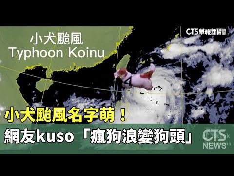 小犬颱風名字萌！　網友kuso「瘋狗浪變狗頭」