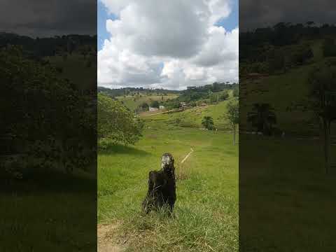 #vidanaroca @Rony Silva Lugar lindo aqui elísio medrado Bahia
