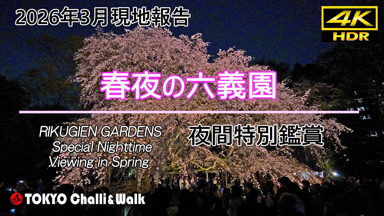 夜間特別鑑賞 春夜の六義園/4K HDR(in process)