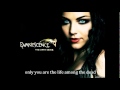 Evanescence ft Linkin Park-Bring me to life ...