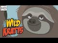 Wild Kratts - Hanging and Swinging 🐒 | Kids Videos