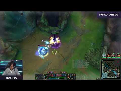 Canna Sion finds the ward to flank Pro View | DK vs LSB | LCK Summer Week 1 Day 1