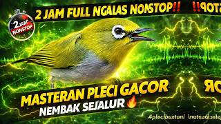 Download lagu 🔵 2 JAM FULL NGALAS NONSTOP‼️ MASTERAN PLECI GACOR NEMBAK SEJALUR PALING DICARI 2026‼️ #plecibuxtoni mp3