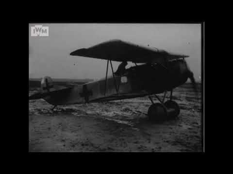 German Fokker D.VII fighters captured and tested by RAF