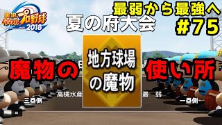 【パワプロ2019】最弱から最強へ【栄冠ナイン】#75