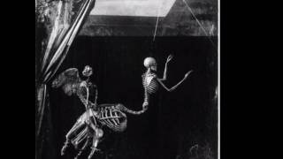 skinny puppy  convulsion