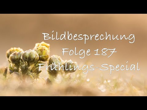 Bildbesprechung 187 (Frühlings-Special)