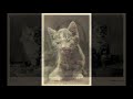 Regardez "THE CAT - Phil Napoleon and His Orchestra" sur YouTube