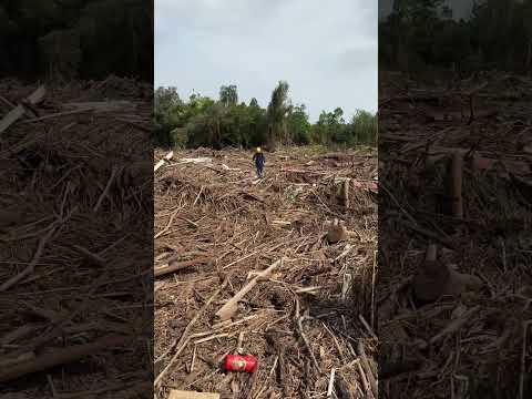 Destruição no Vale do Taquari no Rio Grande do Sul decorrente das fortes chuvas #bombeiros