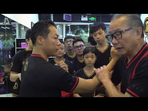 Sifu Wan Kam Leung Shenzhen seminar 8th of Sept 2018