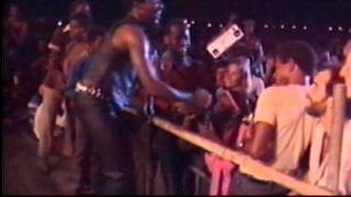 Toots & the Maytals - Reggae Sunsplash (Jamaica,1982)
