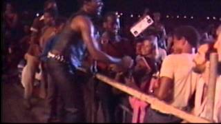 Toots & the Maytals - Reggae Sunsplash (Jamaica,1982)