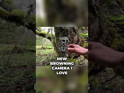 My Favorite Trail Camera | Browning Strike Force Review | Farming For Whitetails