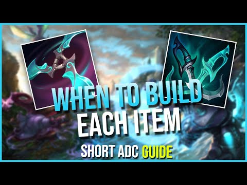 HOW TO DECIDE BETWEEN NAVORI AND PD FOR CHAMPS THAT CAN BUILD BOTH