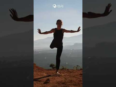 5 Element Qigong - Crane Qigong ❤️🕊️